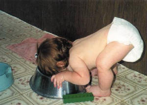 dog_dish.jpg