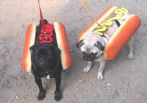 doggies.jpg