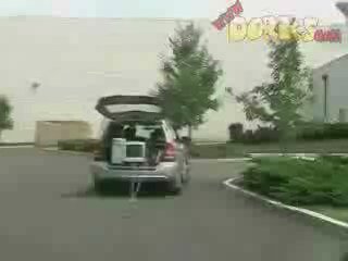 flying_windows_.jpg